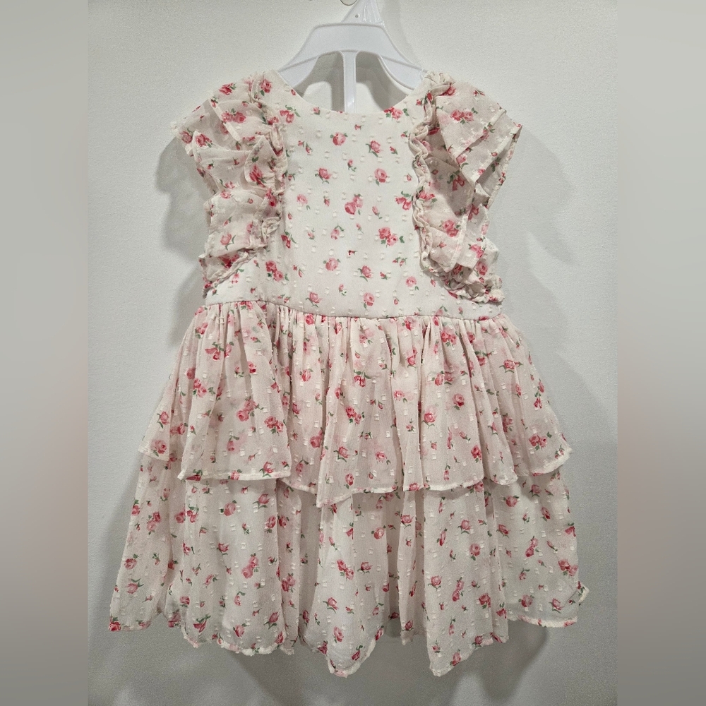 Girl Size 24M Floral Ruffle Kids Dress - Pink